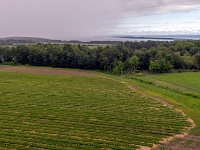 L'Île-d'Orléans, Quebec